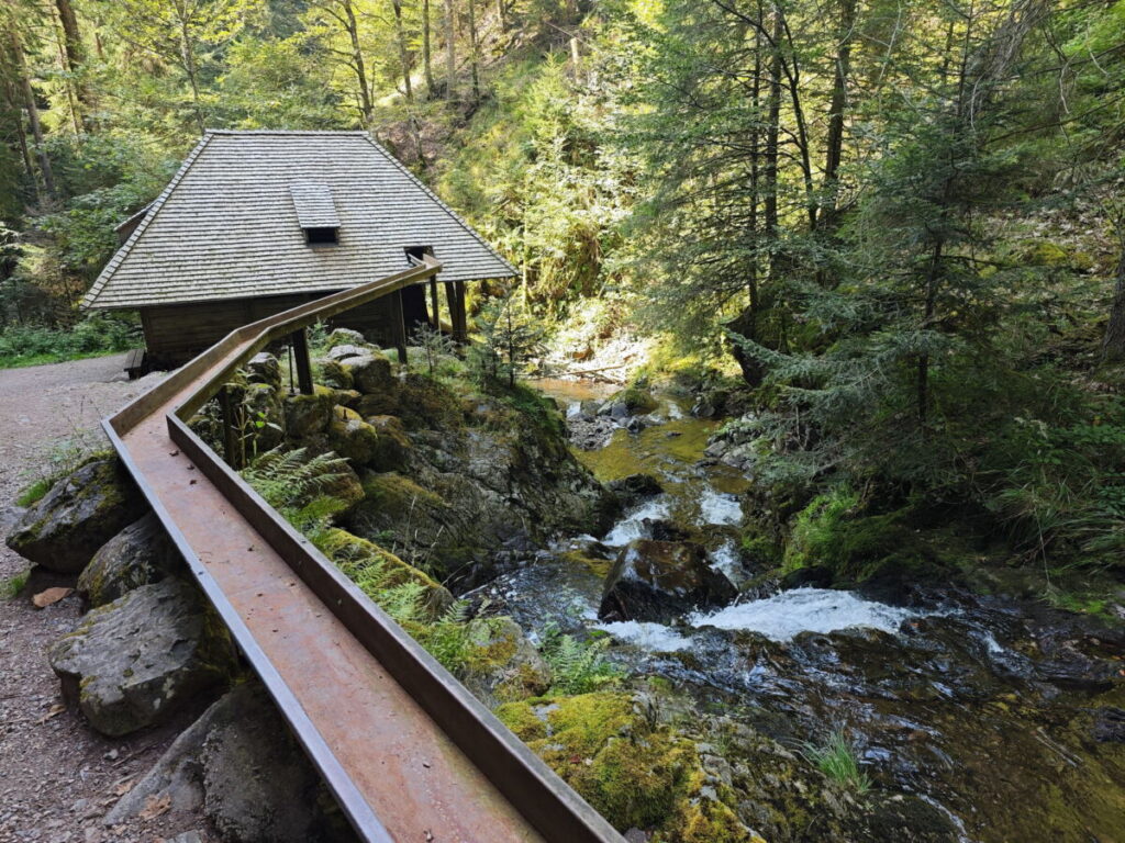 Durch die Ravennaschlucht Wandern und die Großjockenmühle entdecken