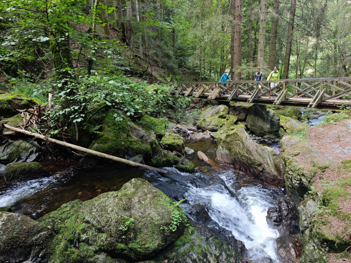 RAVENNASCHLUCHT WANDERUNG So Geht Sie Perfekt