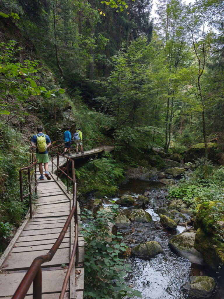 Ravennaschlucht wandern - über Brücken und Stege geht es entlang der Ravenna