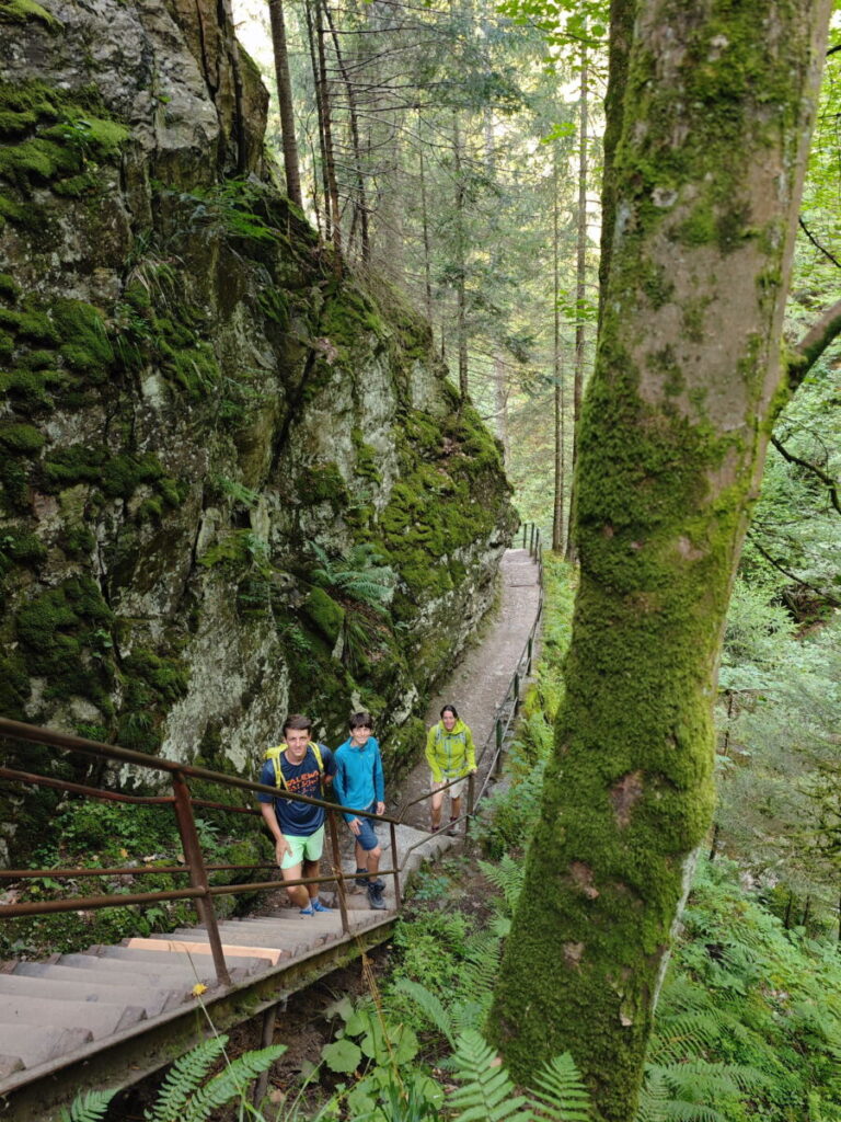 Wanderung Ravennaschlucht - eine der schönsten Wanderungen im Schwarzwald